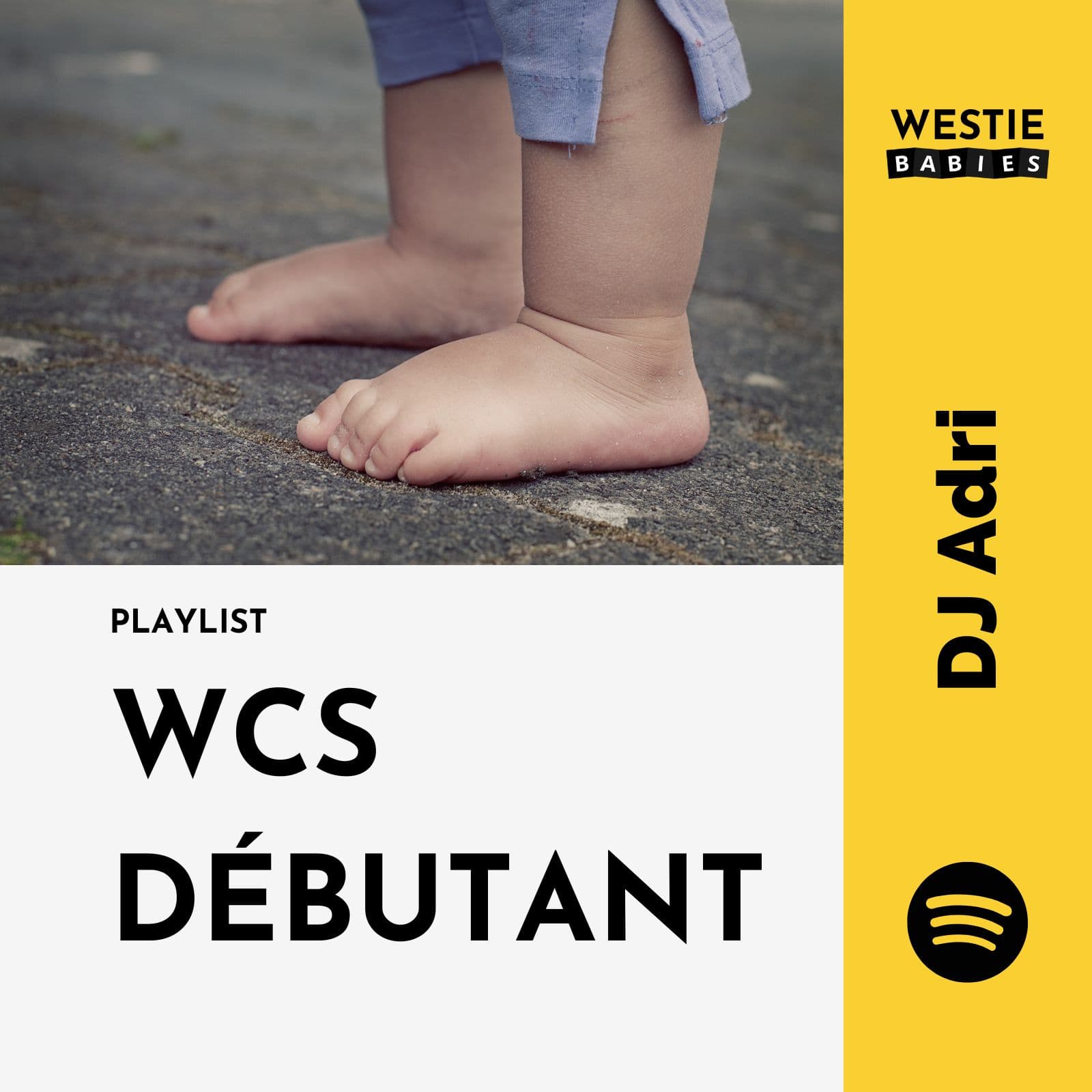 Jaquette de la playlist débutant